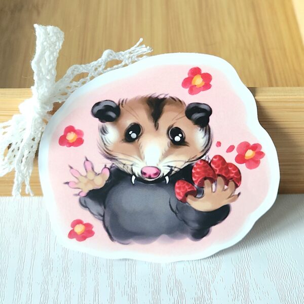1000358772 Opossum Stickers